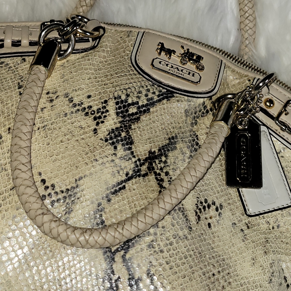 Snake Skin Coach Purse